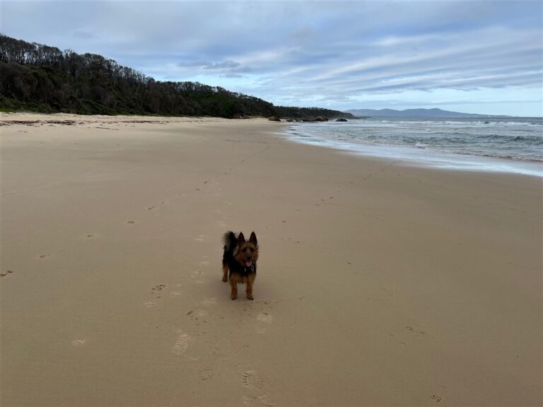 mallacoota beach